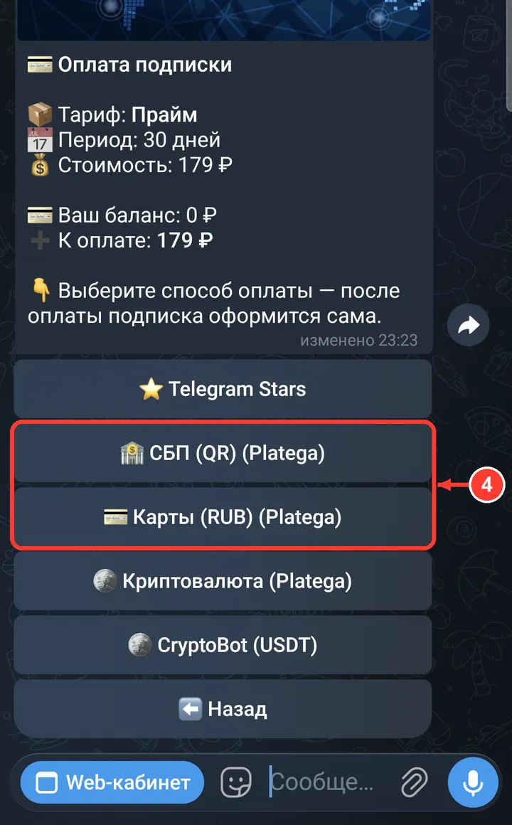 Бот покажет сумму к оплате. Выберите «СБП (QR)» или «Карты (RUB)» — после оплаты подписка оформится сама. Дальше — на примере СБП, с картой шаги те же.