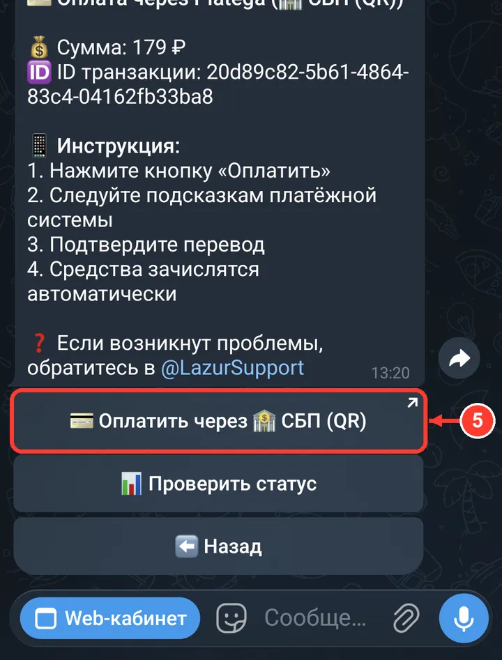 Нажмите «Оплатить через СБП (QR)» (картой — «Оплатить через Карты (RUB)»).