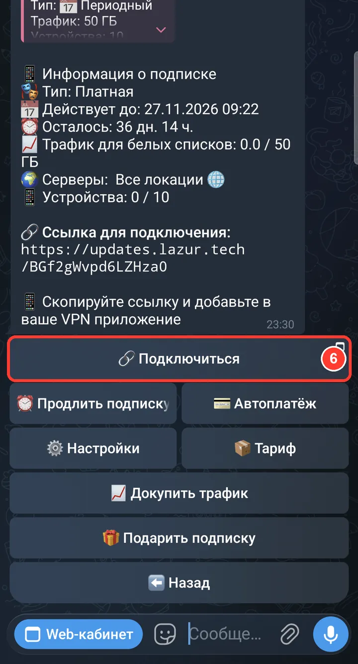 В боте откройте «Подписка» и нажмите «Подключиться».