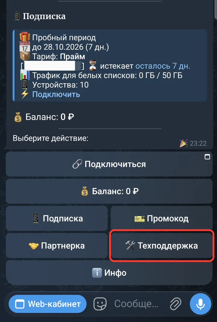 В главном меню бота нажмите «Техподдержка».