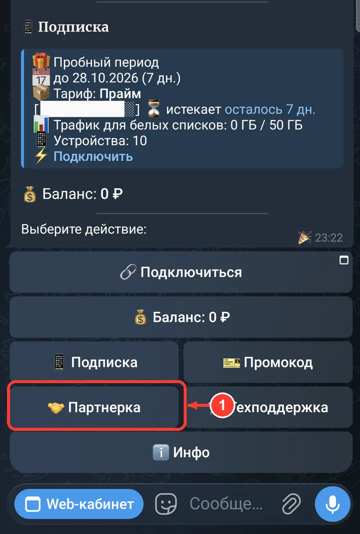 В главном меню бота нажмите «Партнерка».