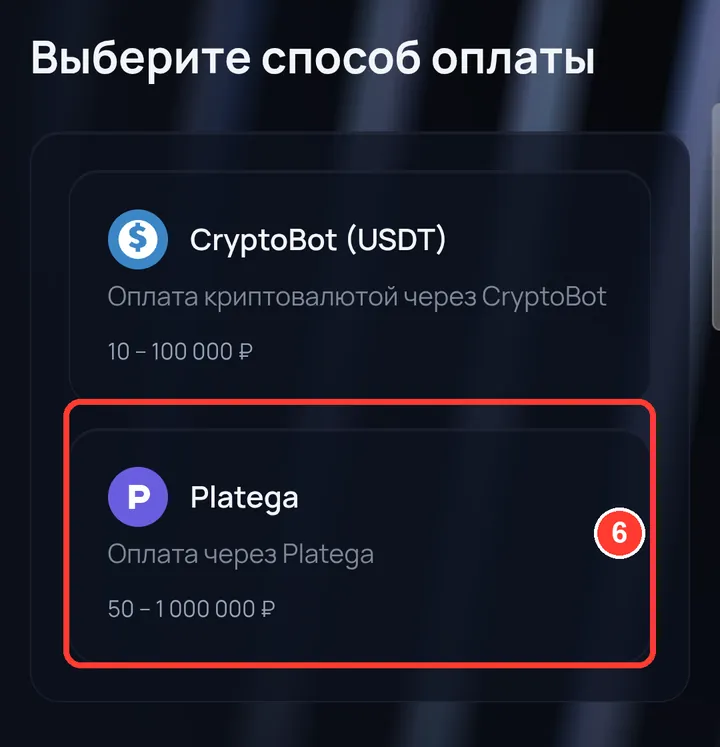 Выберите «Platega».